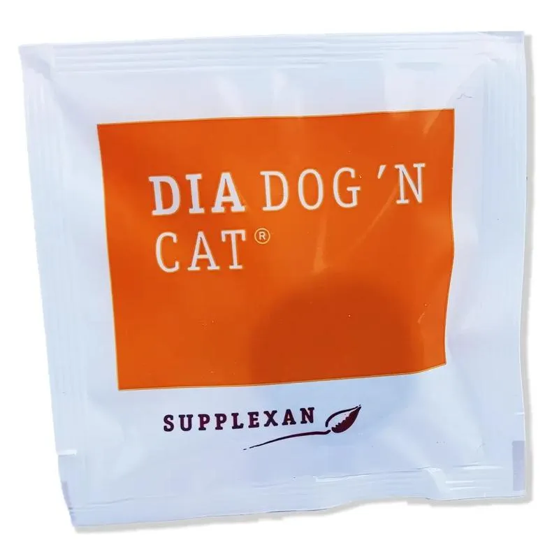 Co zrobić, gdy pies ma rozwolnienie? Sprawdź, co mu dać, aby mu pomóc!