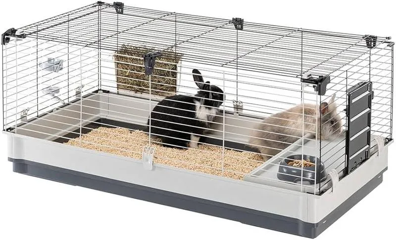 Idealne dodatki do królika w śmietanie – co warto wypróbować?