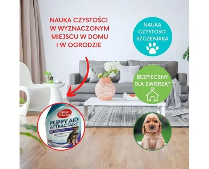 Jak długo trwa nauka czystości u psa? Przewodnik dla właścicieli czworonogów