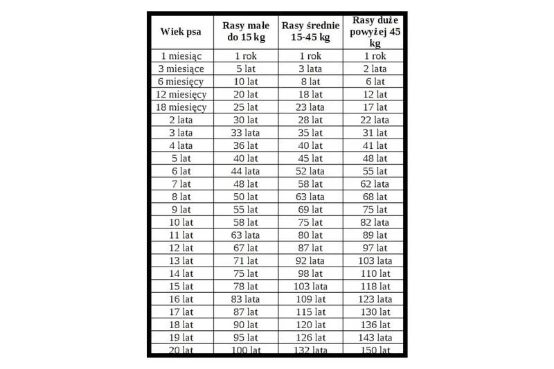 Jak przeliczyć 14 lat na psi wiek? Odpowiedzi, które zaskakują!