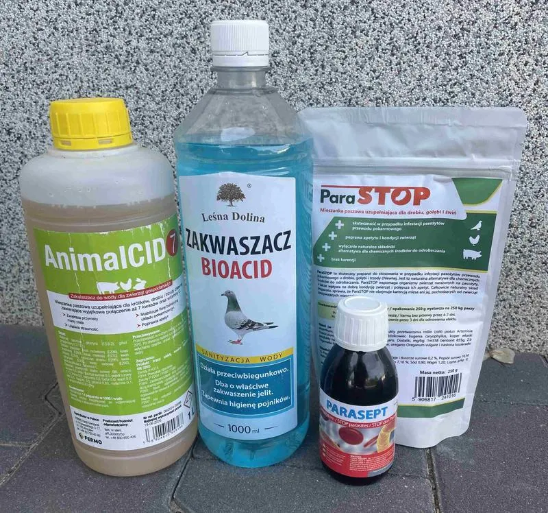 Jak skutecznie odrobaczyć kanarki i zadbać o ich zdrowie?