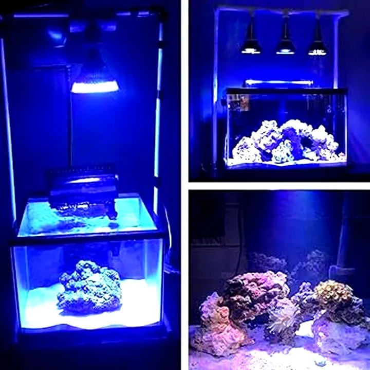 Jakie diody do akwarium morskiego wybrać, aby stworzyć idealne środowisko dla ryb?