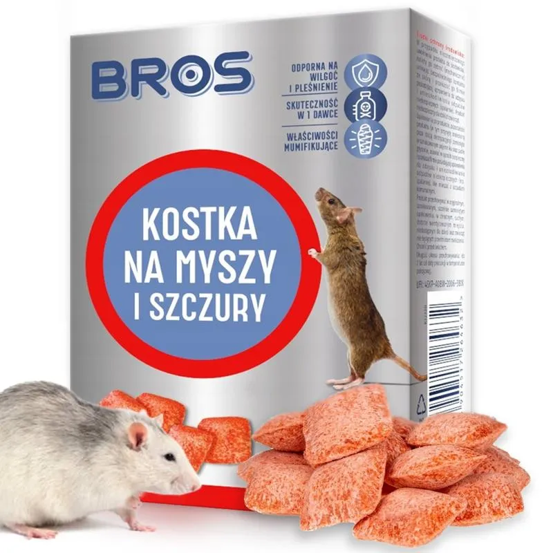 Skuteczne metody na to, jak pozbyć się myszy ze strychu raz na zawsze