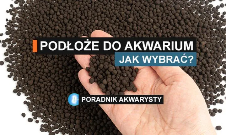 Wybór idealnego podłoża do akwarium – jakie gotowe opcje warto rozważyć?