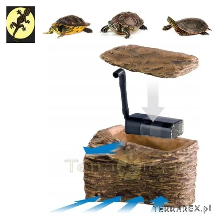 Wybór odpowiedniego filtra dla żółwia wodno-lądowego – kluczowe wskazówki