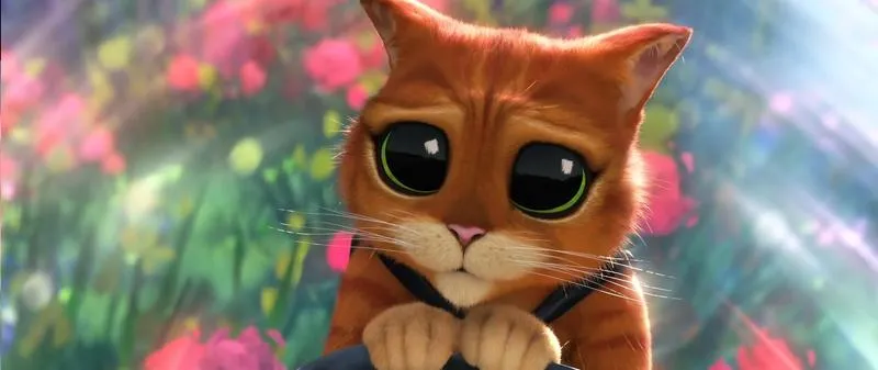 Zaskakujący widok: Jak wygląda kot w butach?