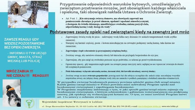 Zimowa opieka: jak dbać o zwierzęta w trudnych warunkach chłodnych dni