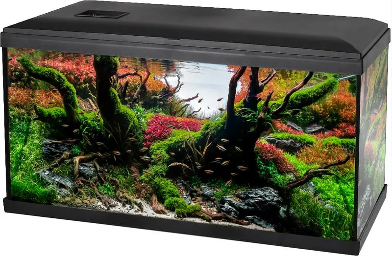 Budowanie mikroekosystemu