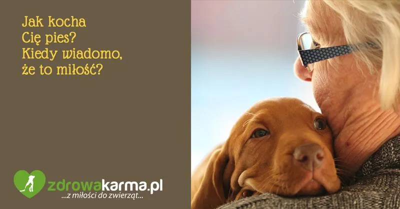 Budowanie więzi z psem