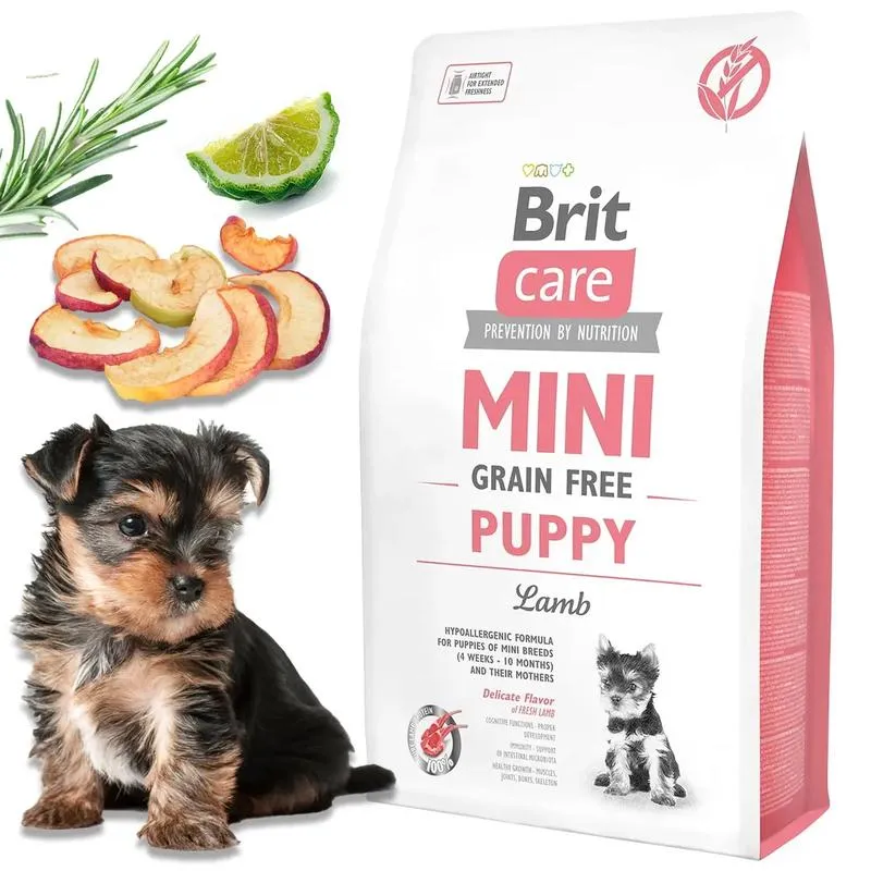 Czy warto kupić karmę Brit premium