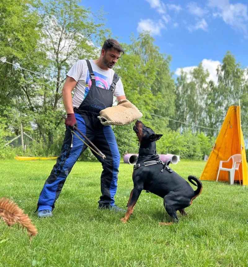 Czynniki wpływające na czas szkolenia psa