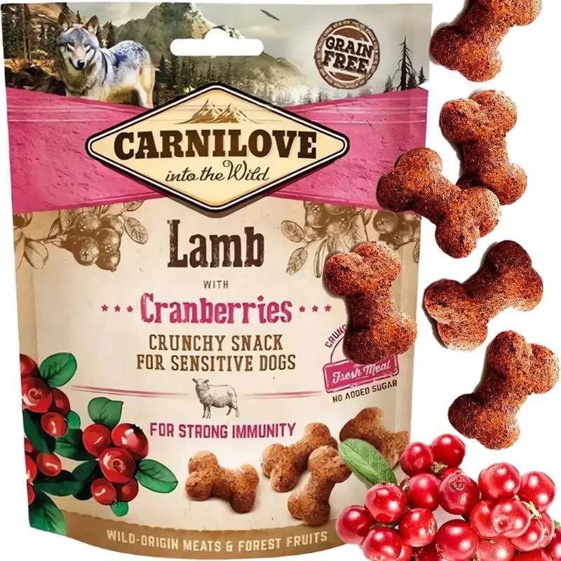 Dieta lekkostrawna dla psa