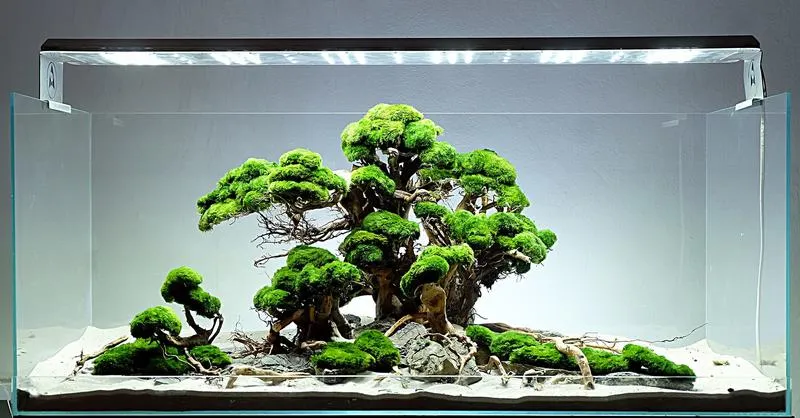 Dobór gatunków i sąsiedztwo ryb