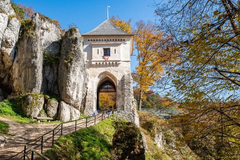 Fauna Ojcowskiego Parku Narodowego