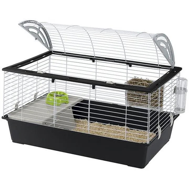 Humanitarne podejście i dobrostan