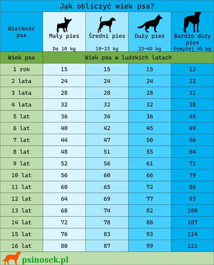 Jak obliczyć wiek psa