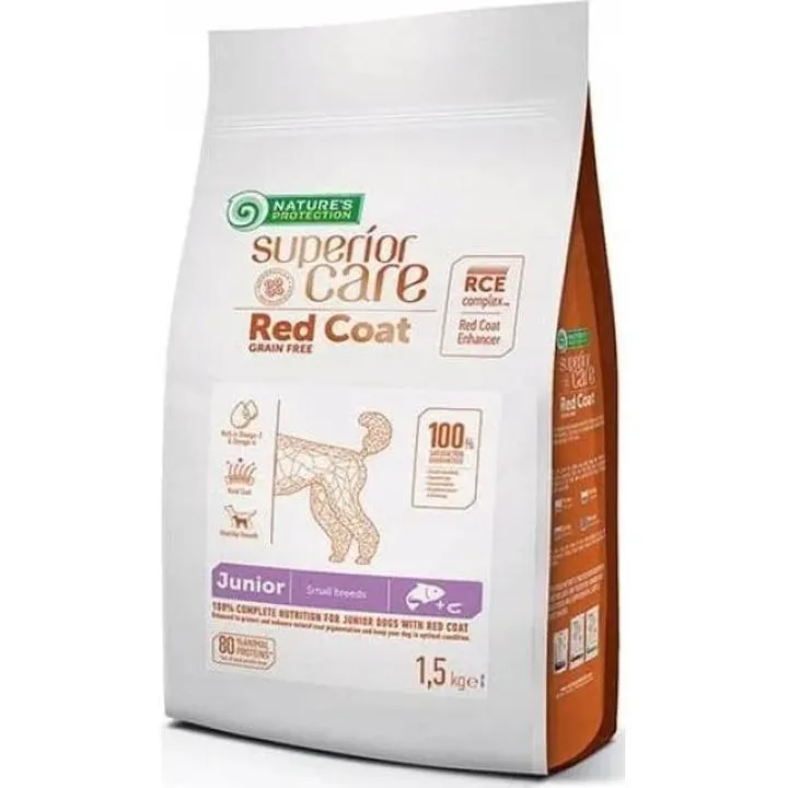 Najlepsze marki karmy dla maltipoo