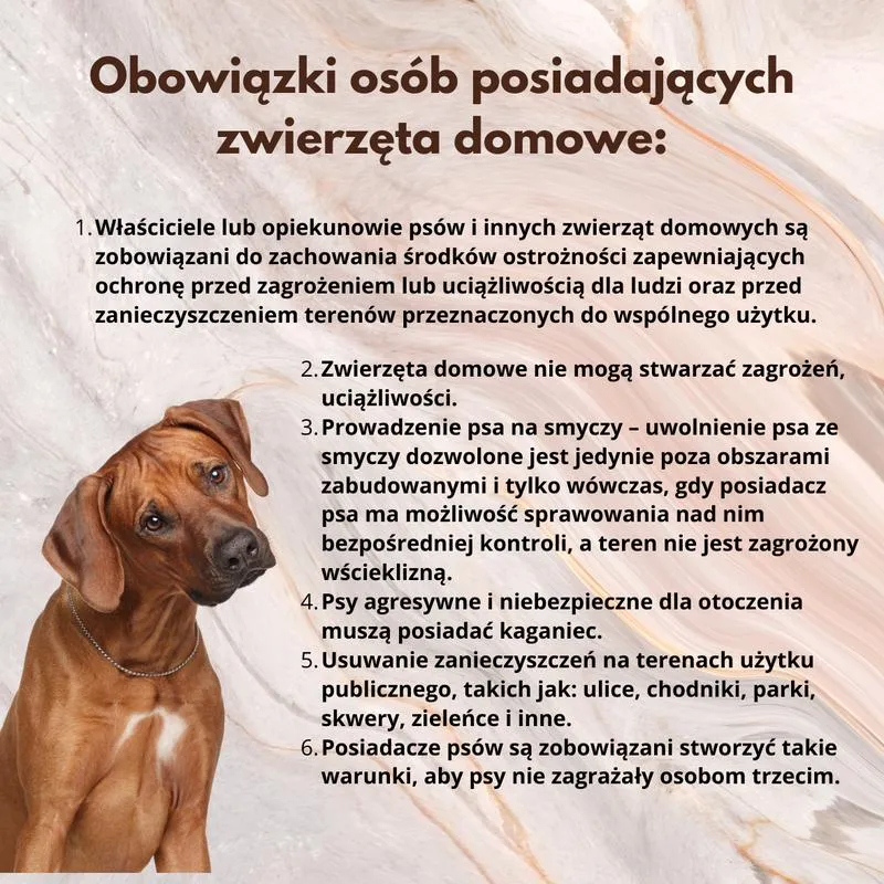 Niebezpieczne produkty w diecie psa