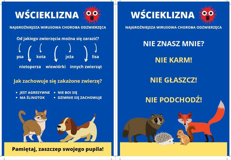 Objawy wścieklizny u zwierząt