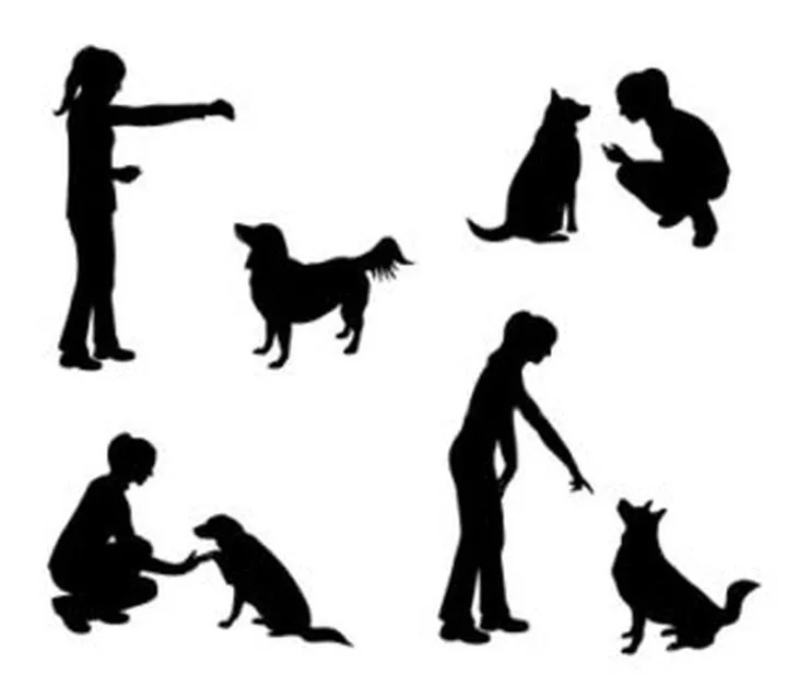 Ogrodzenie i zabezpieczenia dla psa