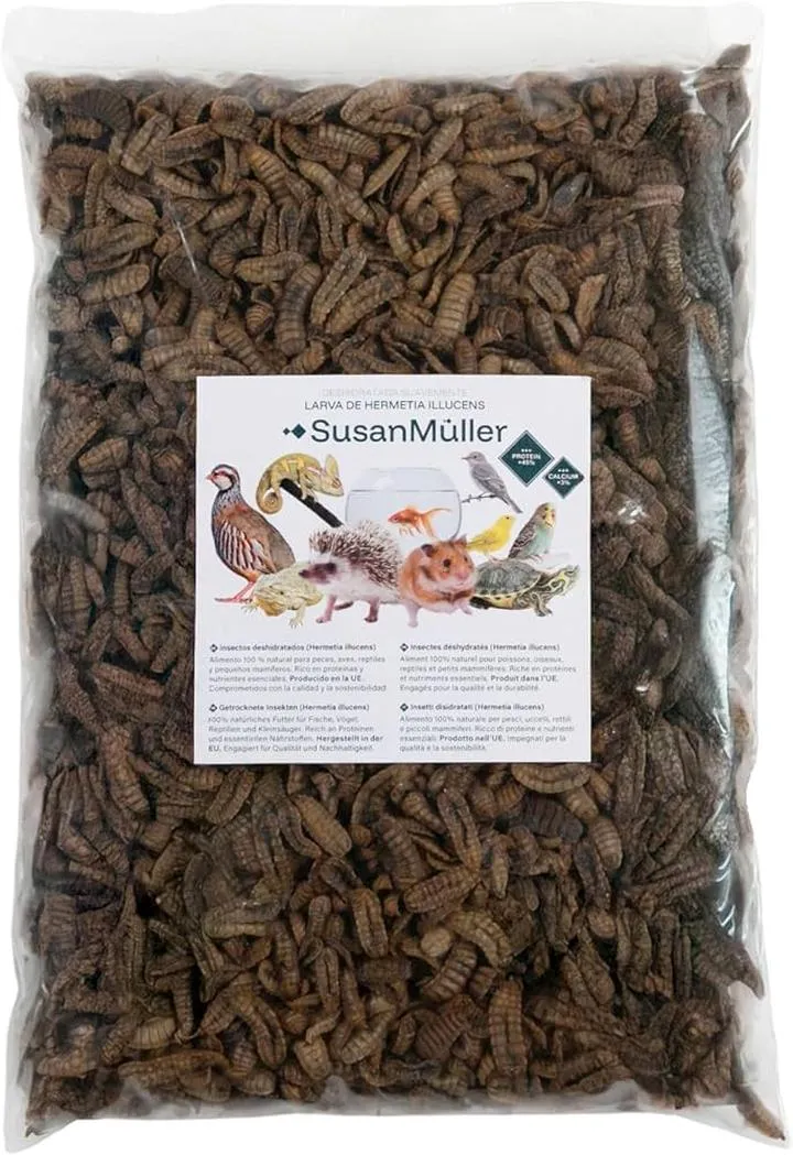 Optymalne warunki dla ryb