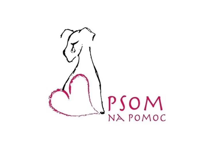 Pierwsza pomoc dla zwierząt