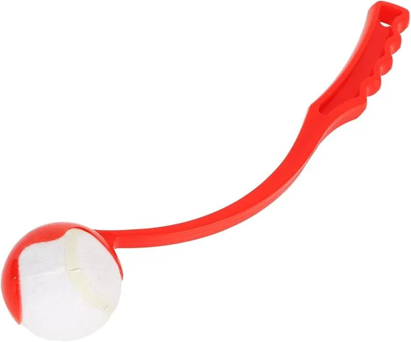 Pomiar prędkości psa