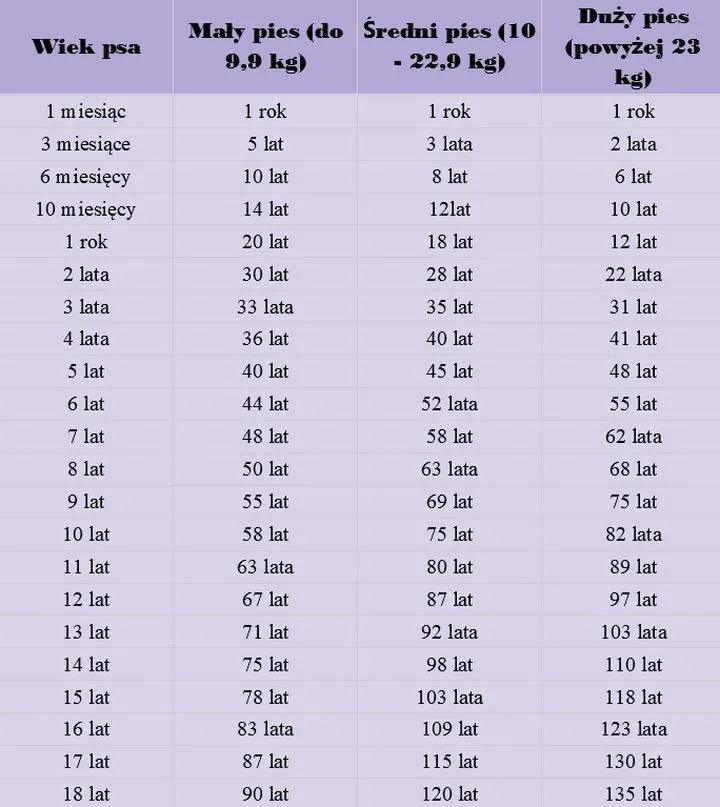 Przeliczanie psiego wieku