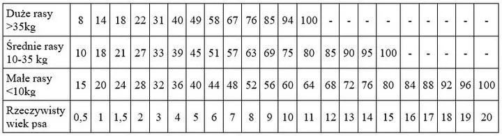 Psia starość i potrzeby