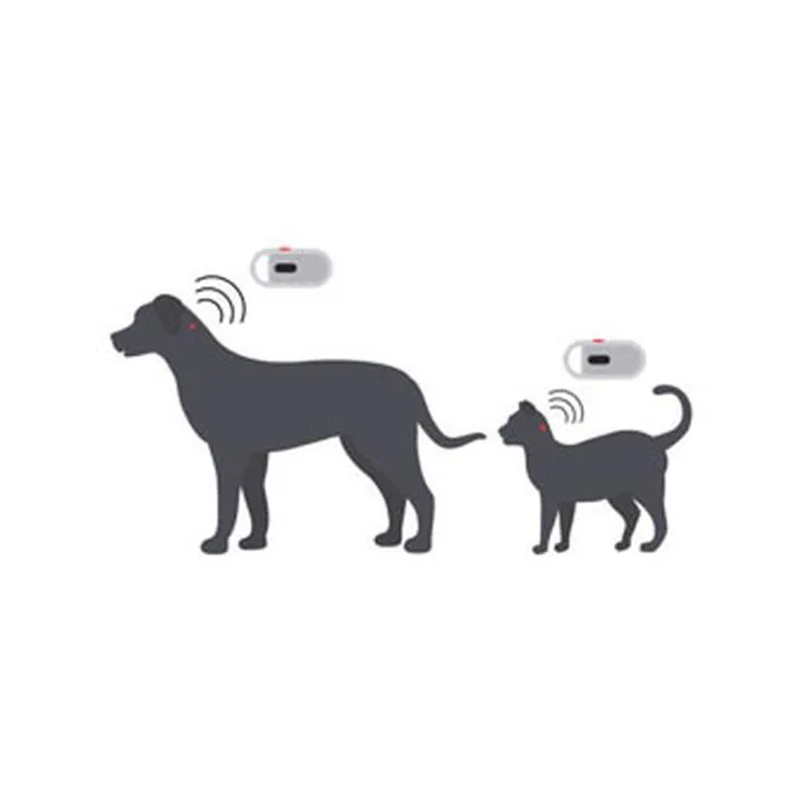 Rejestracja chipa psa w Polsce