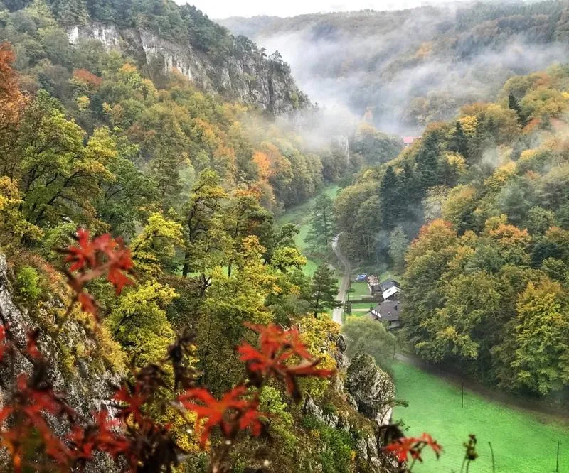Różnorodność biologiczna ekosystemów