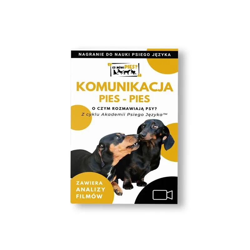 Rozumienie ludzkiej mowy przez psy