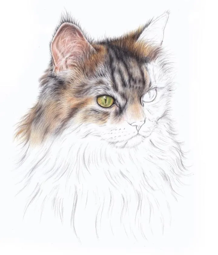 Rysowanie kota i psa krok po kroku