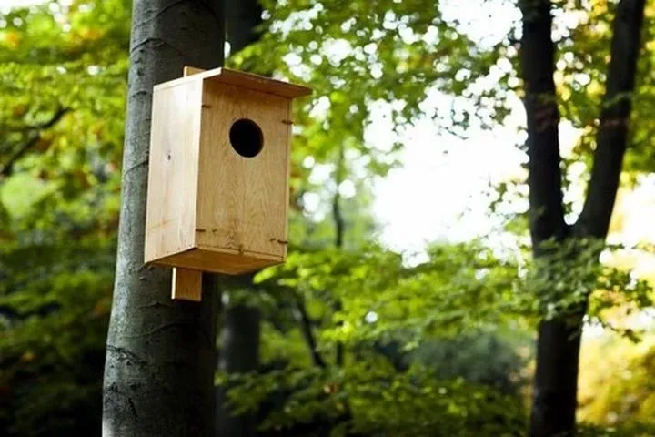 Sklepy z budkami lęgowymi