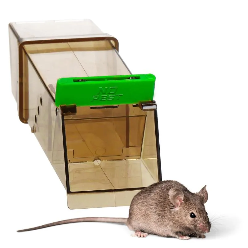 Skuteczne metody na myszy