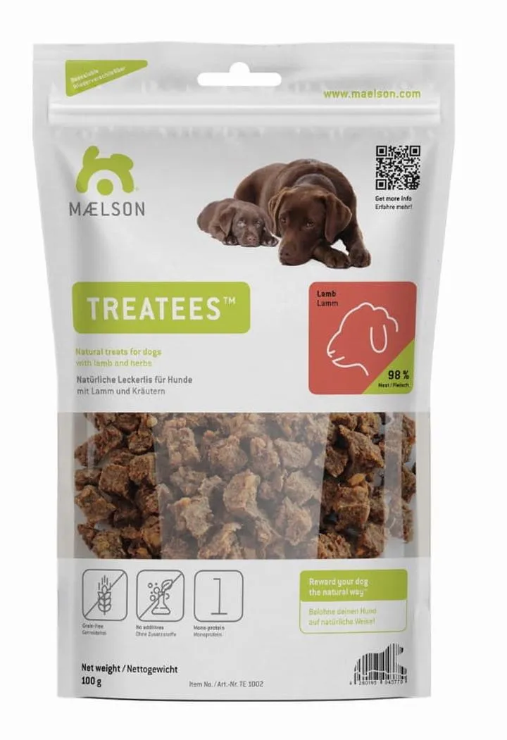 Szkolenie dorosłego psa