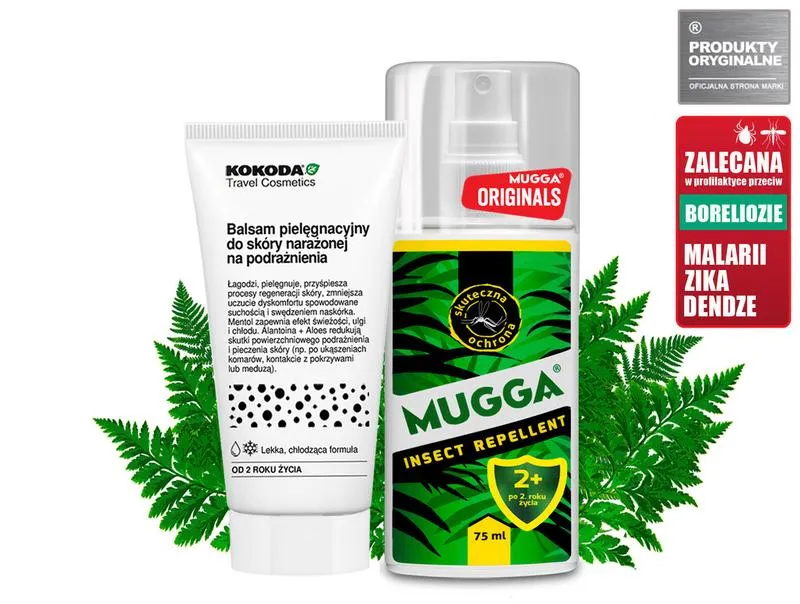 Technologia w ochronie psów przed kleszczami