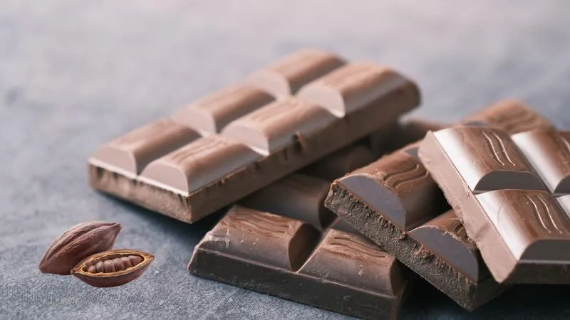 Toksyczność czekolady dla psów