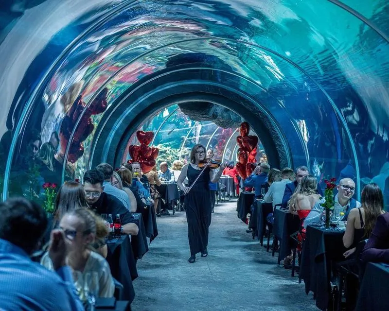 Transport publiczny Łódź