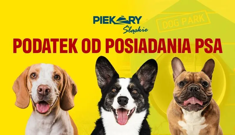 Ulgi podatkowe dla właścicieli psów