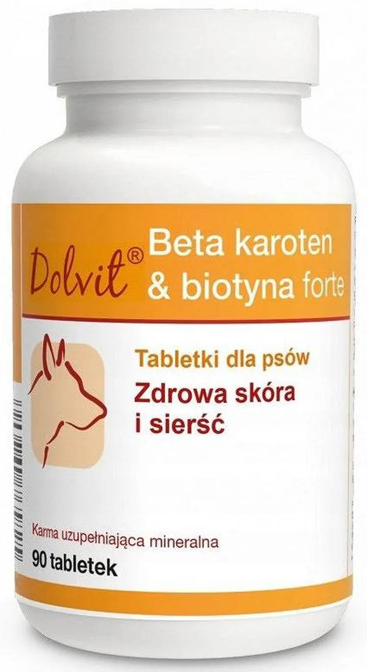 Usuwanie sierści psa w domu