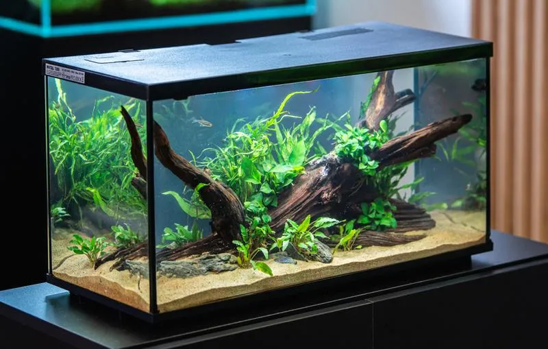 Wyposażenie akwarium