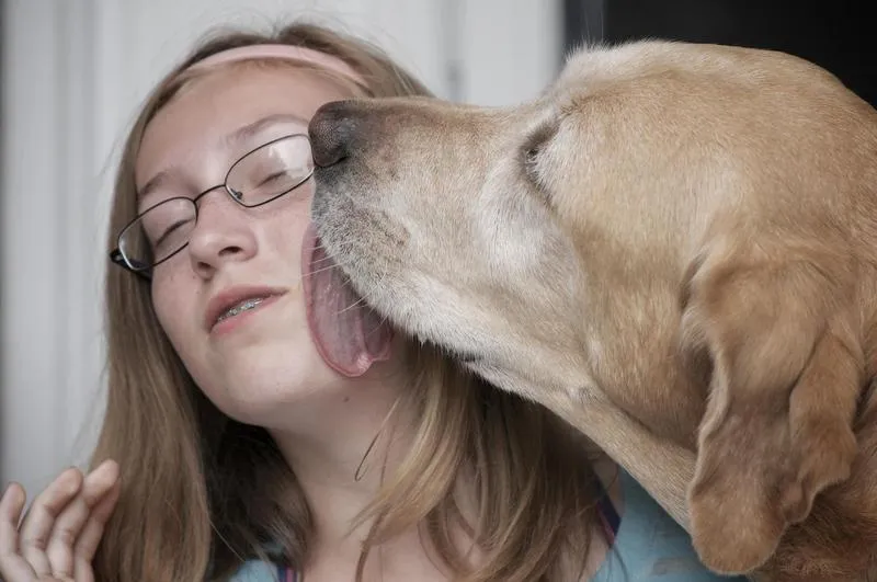 Wyraz psiej miłości